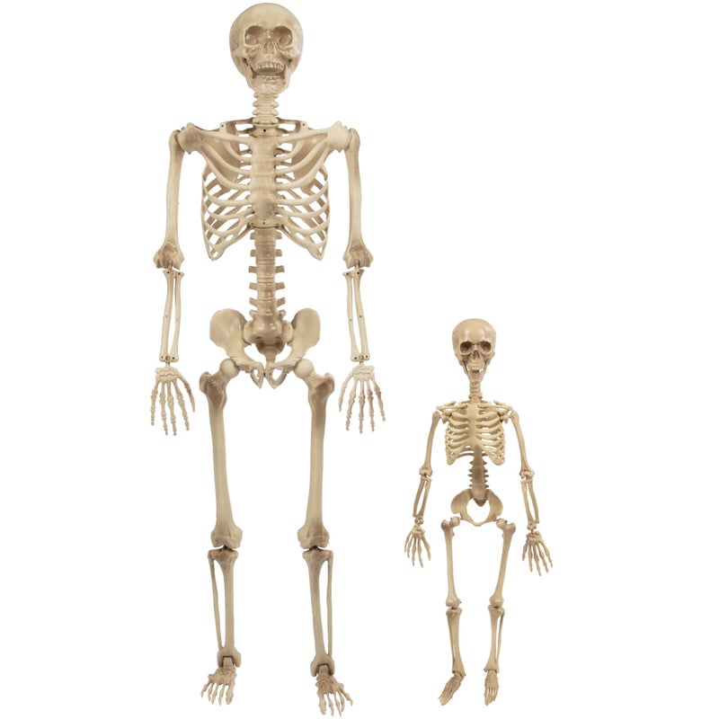 SCS Direct Life Size Posable Human Skeleton Halloween Decoration Value 2 Pack- Adult 5' 4" & Child 2' - Articulated Limbs Stay in Place, Weather Resistant Indoor/Outdoor- Upgrade Fall Haunted House Party Props - Image 1